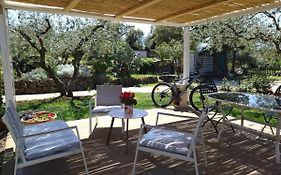B&B Valverde