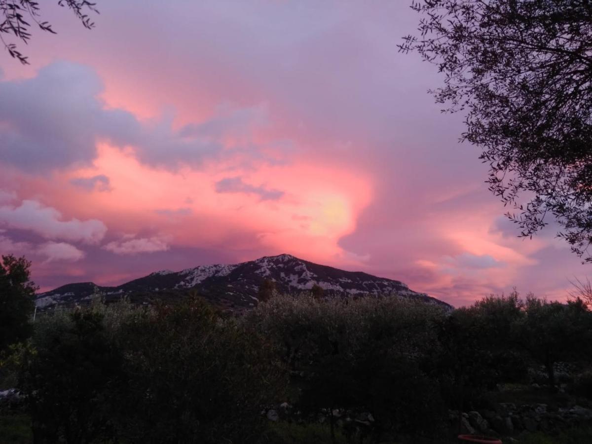 B&B Valverde Dorgali Esterno foto